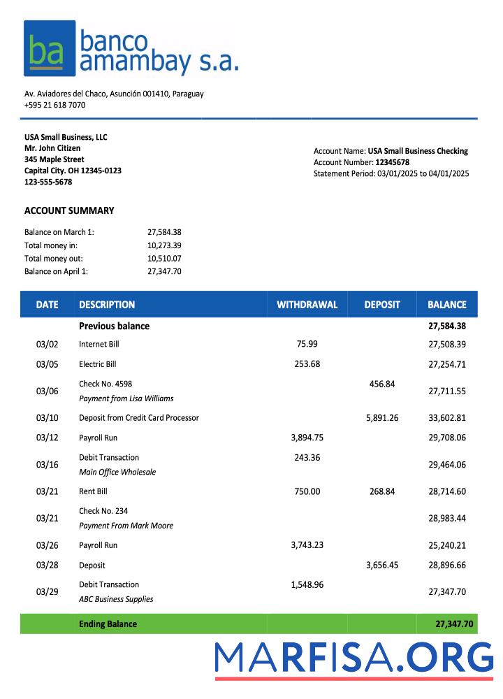 Realistic Paraguay Banco Amambay organization statement Word and PDF template